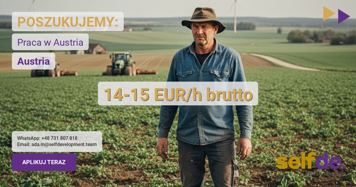 Praca przy dojeniu krów w 6973 Höchst