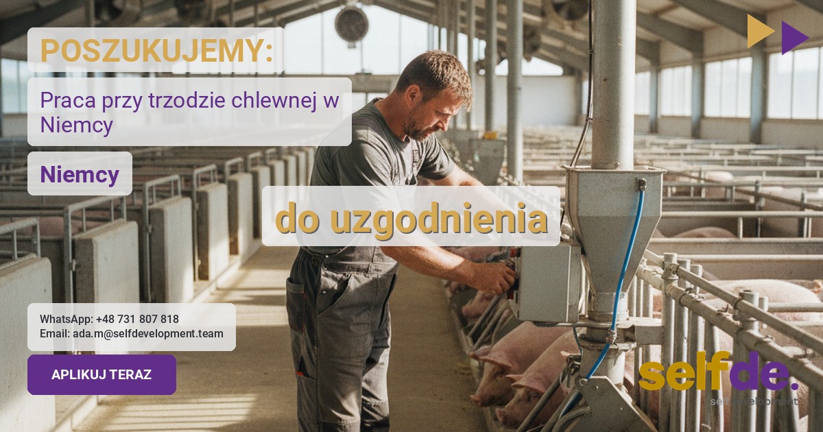 Praca jako trzoda chlewna/tucz w 47638 Straelen